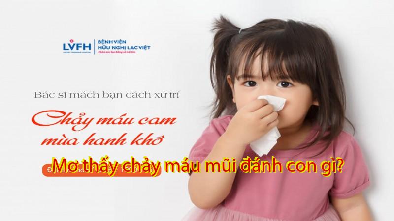 Mơ thấy chảy máu mũi đánh con gì?