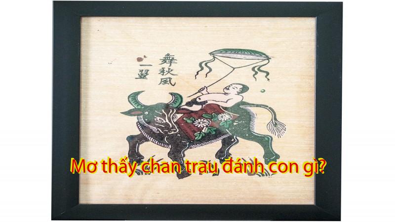 Mơ thấy chan trau đánh con gì?