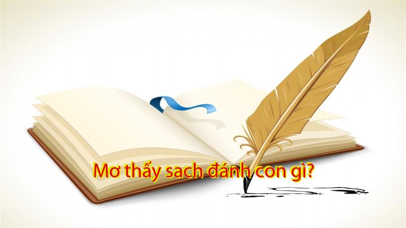 Mơ thấy sach đánh con gì?
