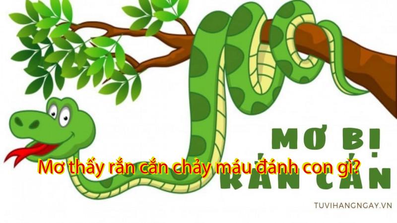 Mơ thấy rắn cắn chảy máu đánh con gì?