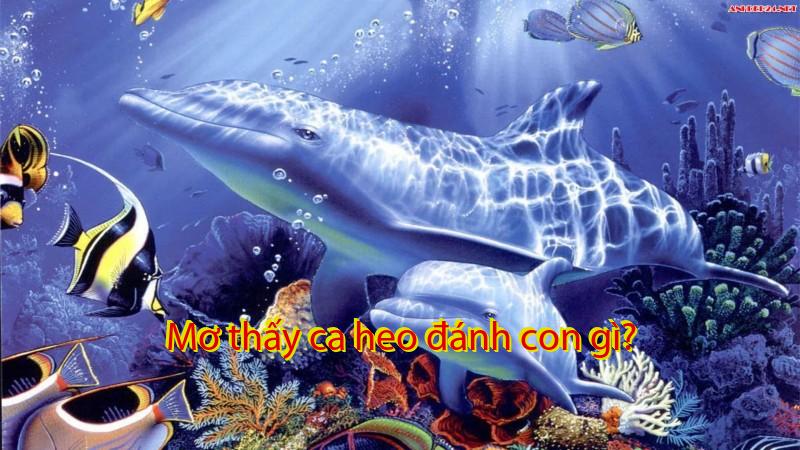 Mơ thấy ca heo đánh con gì?