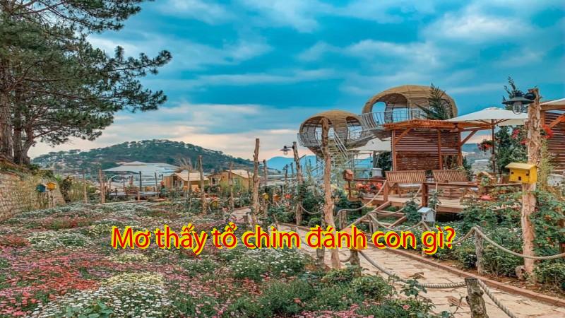 Mơ thấy tổ chim đánh con gì?