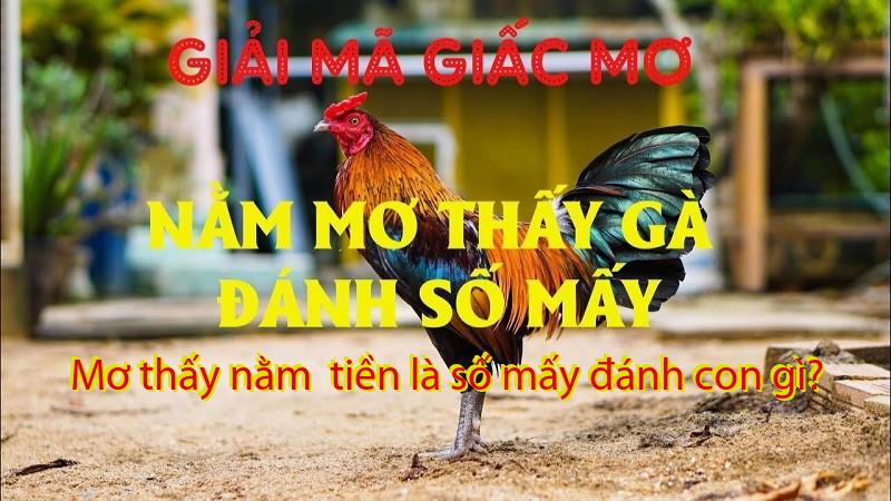 Mơ thấy nằm  tiền là số mấy đánh con gì?