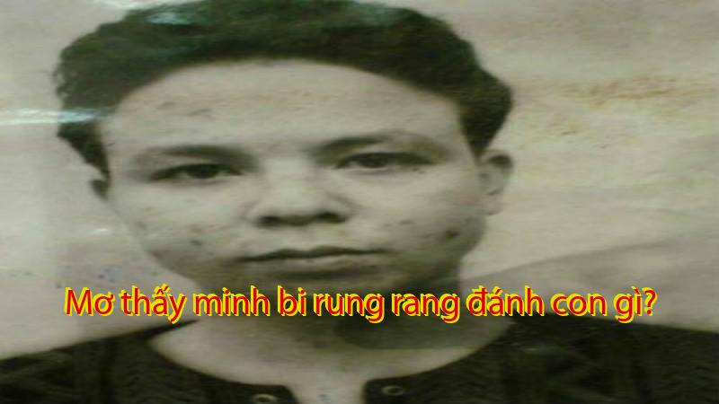 Mơ thấy minh bi rung rang đánh con gì?