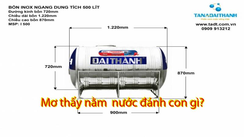 Mơ thấy nằm  nước đánh con gì?