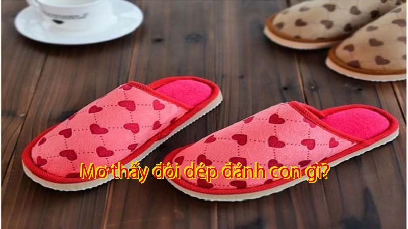 Mơ thấy đôi dép đánh con gì?
