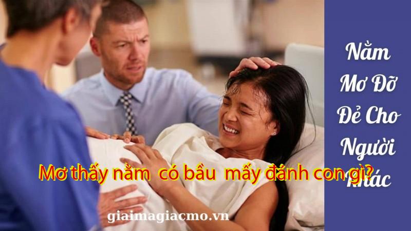 Mơ thấy nằm  có bầu  mấy đánh con gì?