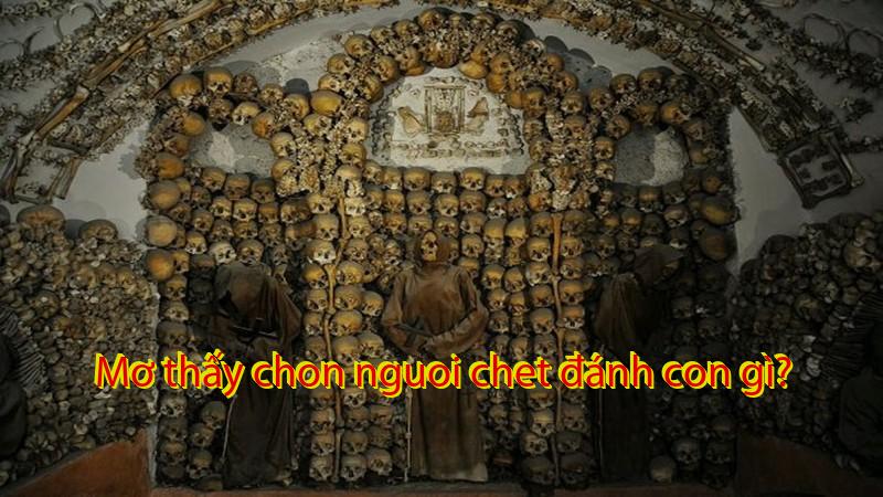 Mơ thấy chon nguoi chet đánh con gì?