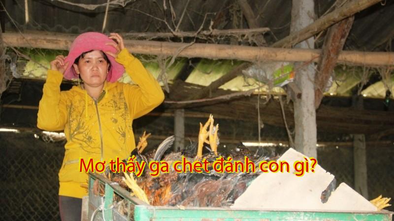 Mơ thấy ga chet đánh con gì?