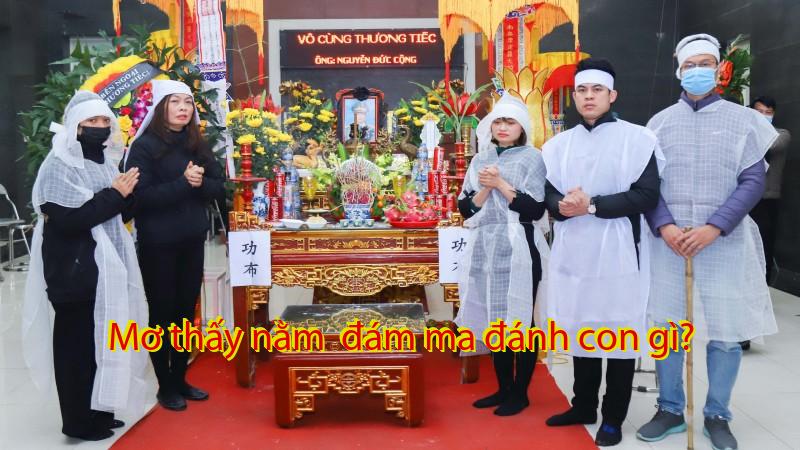 Mơ thấy nằm  đám ma đánh con gì?