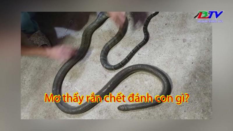 Mơ thấy rắn chết đánh con gì?