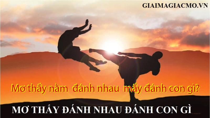Mơ thấy nằm  đánh nhau  mấy đánh con gì?