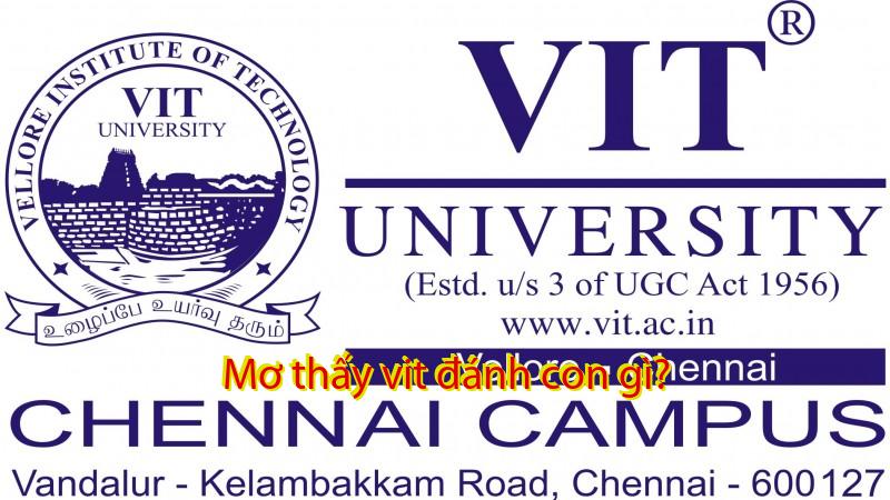 Mơ thấy vit đánh con gì?