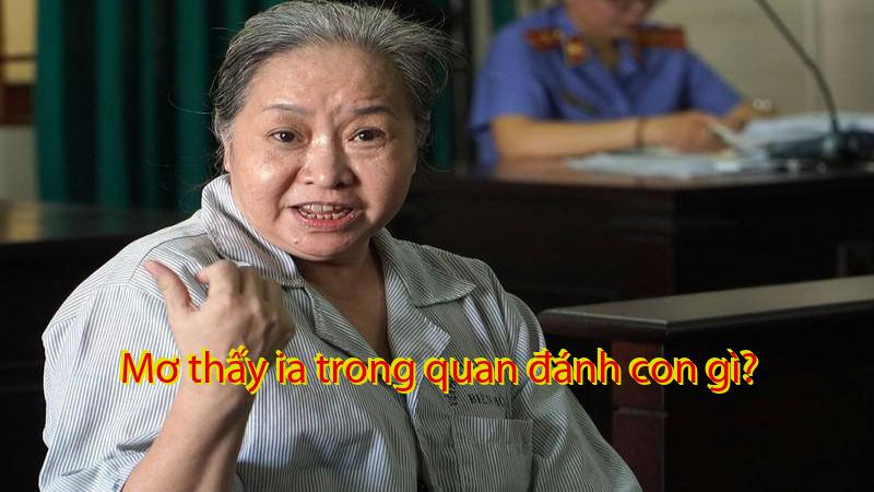 Mơ thấy ia trong quan đánh con gì?