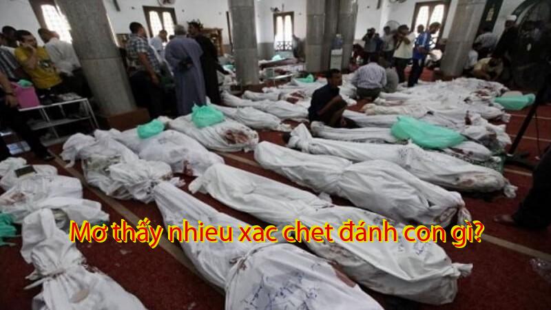 Mơ thấy nhieu xac chet đánh con gì?