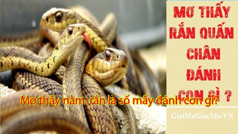 Mơ thấy nằm  rắn là số mấy đánh con gì?