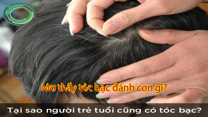 Mơ thấy tóc bạc đánh con gì?