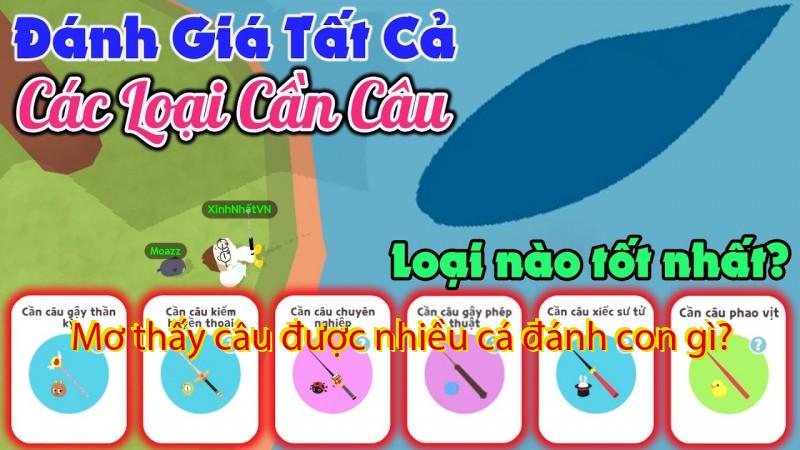 Mơ thấy câu được nhiều cá đánh con gì?