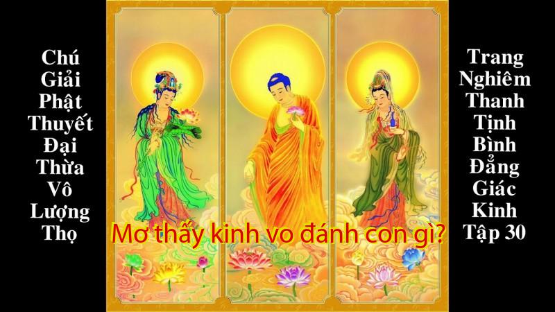 Mơ thấy kinh vo đánh con gì?