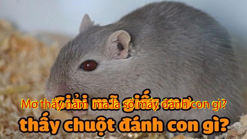 Mơ thấy nằm  ma là số mấy đánh con gì?