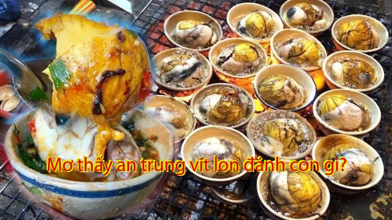 Mơ thấy an trung vit lon đánh con gì?