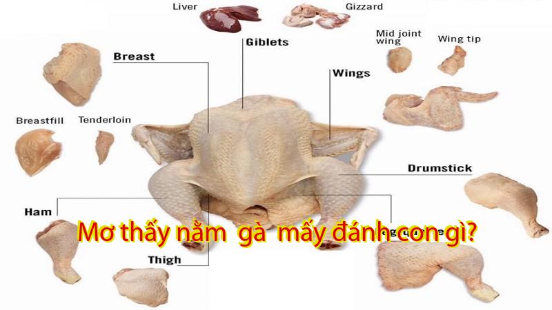 Mơ thấy nằm  gà  mấy đánh con gì?