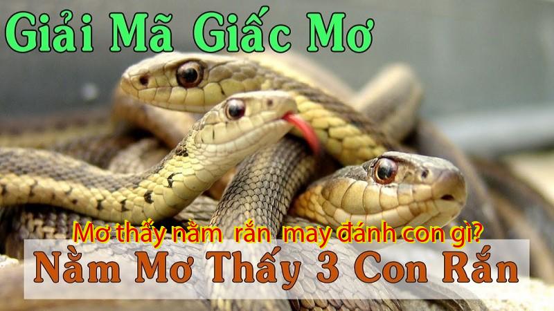 Mơ thấy nằm  rắn  may đánh con gì?