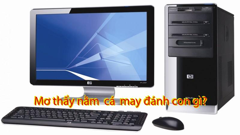 Mơ thấy nằm  cá  may đánh con gì?