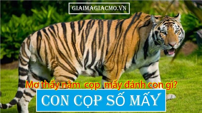 Mơ thấy nằm  cọp  mấy đánh con gì?