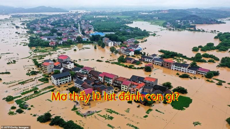 Mơ thấy lũ lut đánh con gì?
