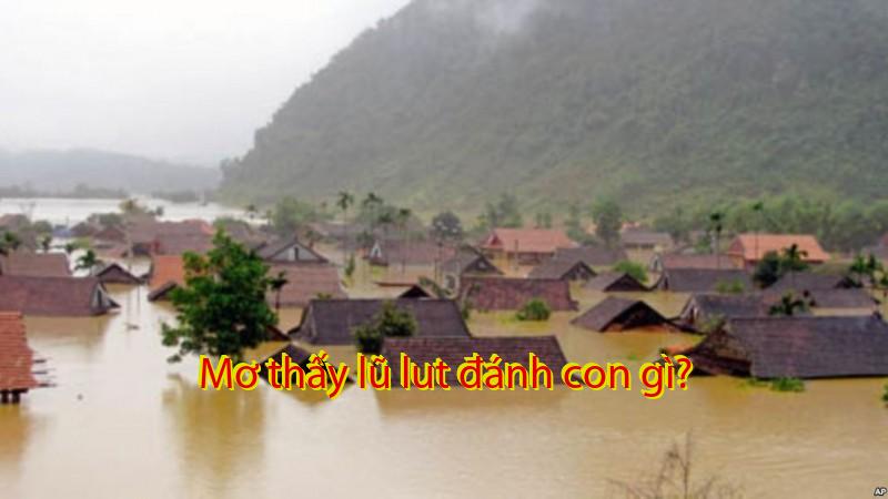 Mơ thấy lũ lut đánh con gì?