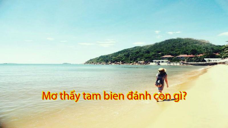 Mơ thấy tam bien đánh con gì?