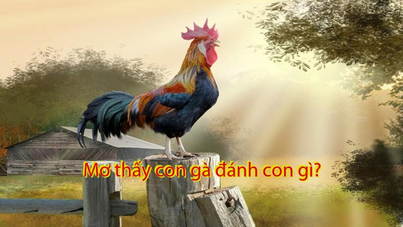 Mơ thấy con gà đánh con gì?