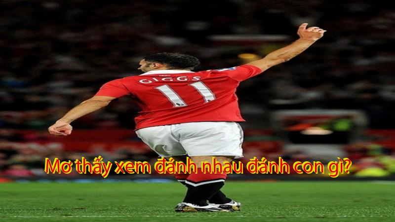 Mơ thấy xem đánh nhau đánh con gì?