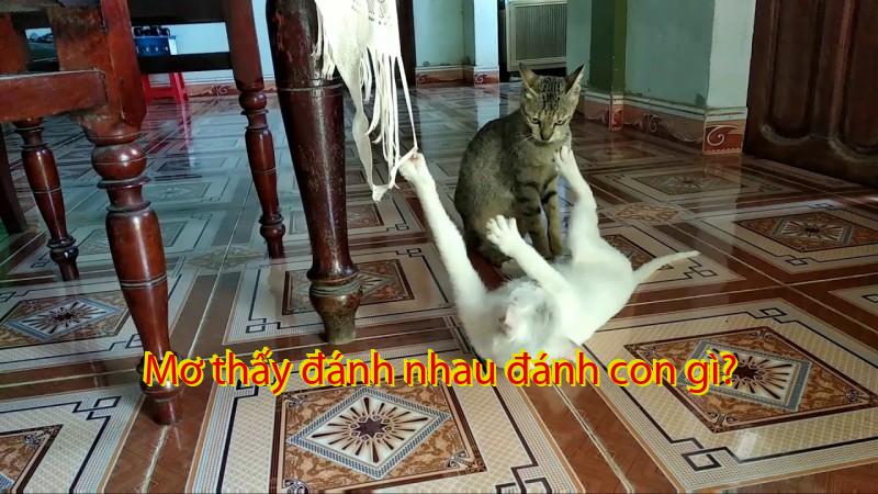 Mơ thấy đánh nhau đánh con gì?