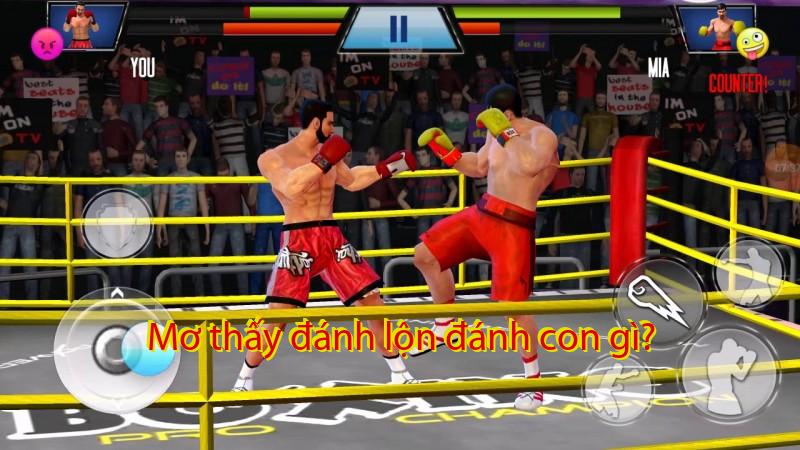 Mơ thấy đánh lộn đánh con gì?