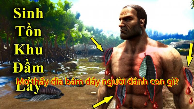 Mơ thấy đỉa bám đầy người đánh con gì?