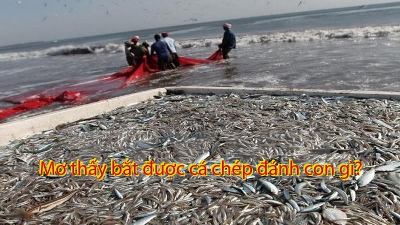Mơ thấy bắt được cá chép đánh con gì?