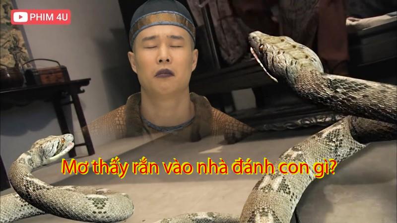 Mơ thấy rắn vào nhà đánh con gì?