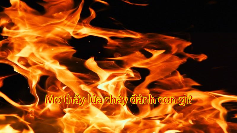 Mơ thấy lửa cháy đánh con gì?